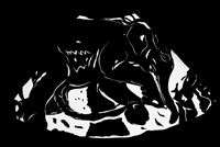 Uterus[series]